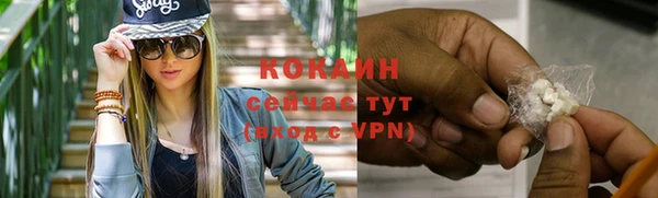 дмт Лиски