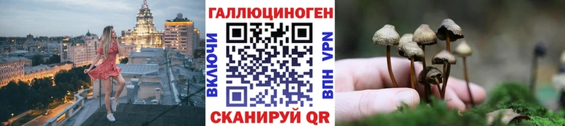 Псилоцибиновые грибы мухоморы  купить наркоту  Тында 