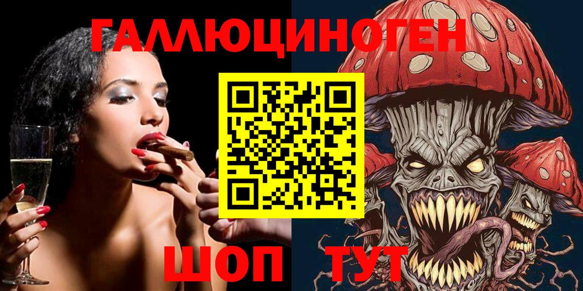 Псилоцибиновые грибы Psilocybe Тында