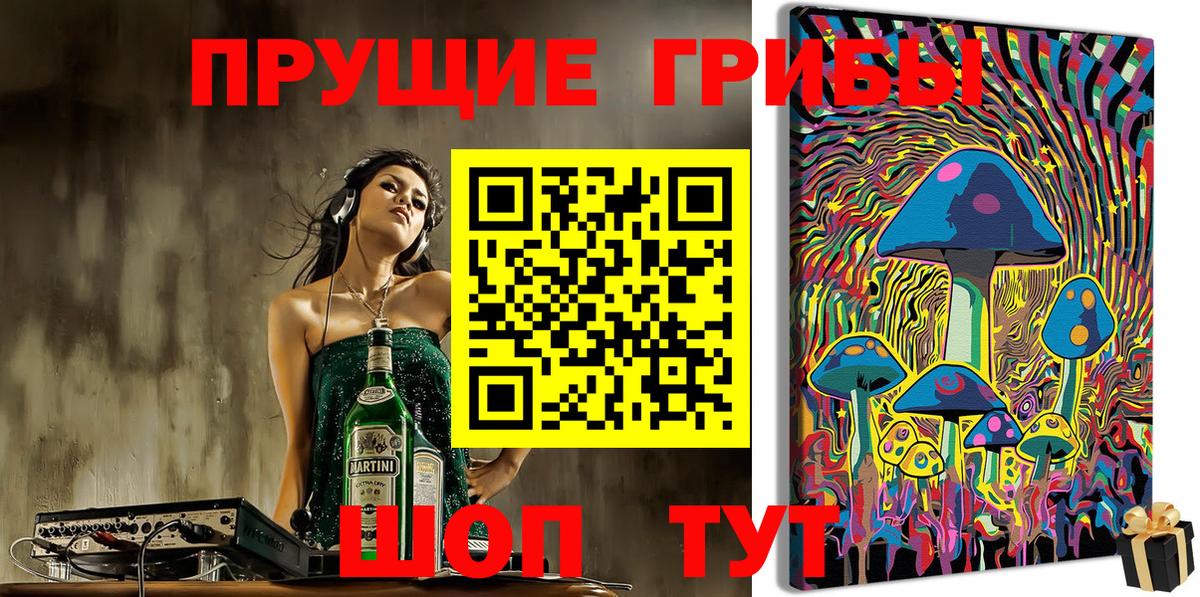 Псилоцибиновые грибы прущие грибы  Тында 