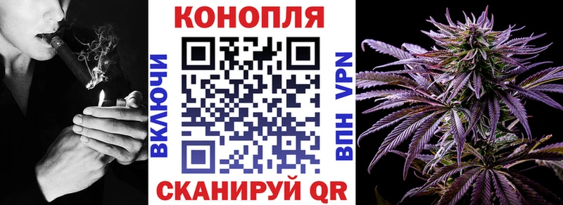 мега маркетплейс  Тында  сайты даркнета клад  Бошки марихуана SATIVA & INDICA 